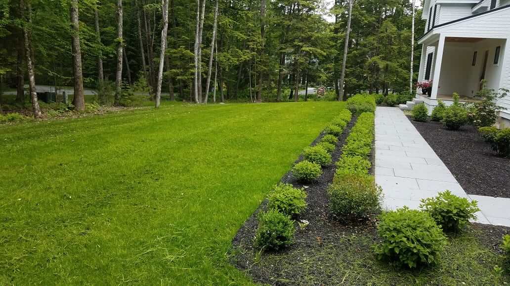 Landscaped backyard